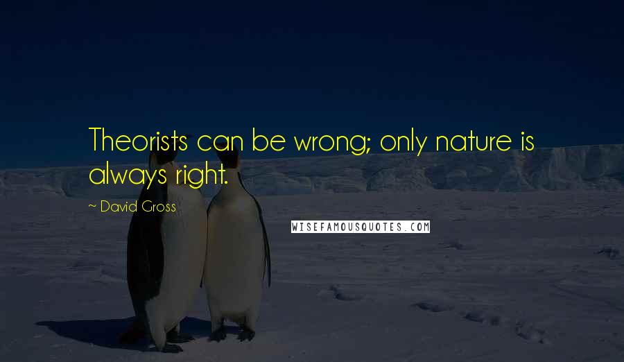 David Gross Quotes: Theorists can be wrong; only nature is always right.