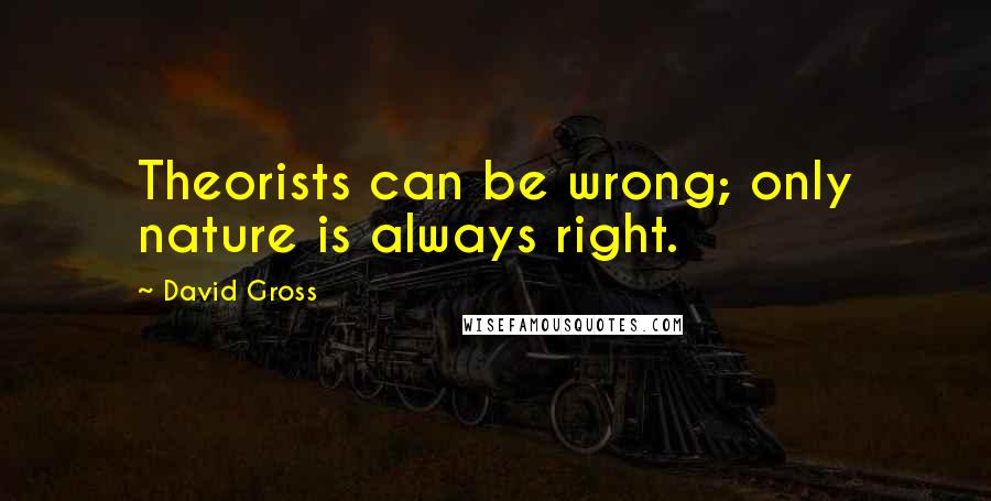 David Gross Quotes: Theorists can be wrong; only nature is always right.