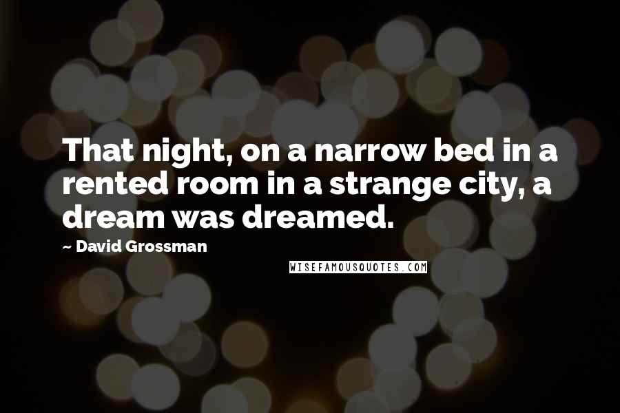 David Grossman Quotes: That night, on a narrow bed in a rented room in a strange city, a dream was dreamed.