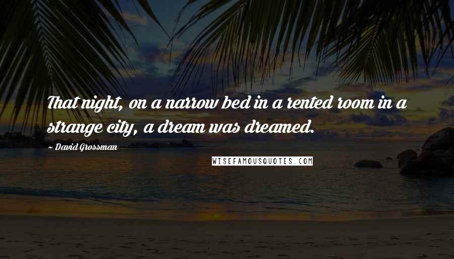 David Grossman Quotes: That night, on a narrow bed in a rented room in a strange city, a dream was dreamed.