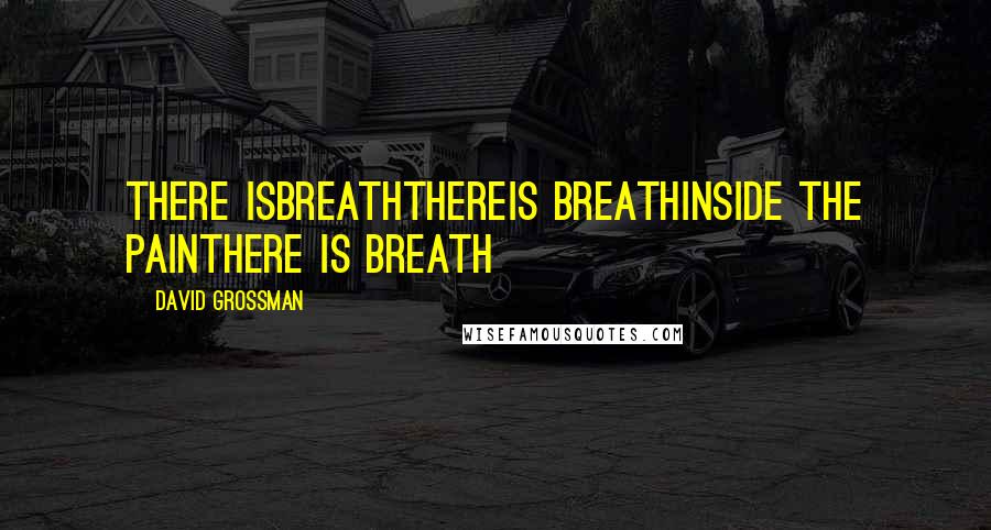 David Grossman Quotes: There isbreaththereis breathinside the painthere is breath