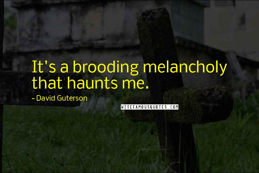 David Guterson Quotes: It's a brooding melancholy that haunts me.