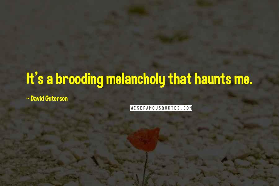 David Guterson Quotes: It's a brooding melancholy that haunts me.