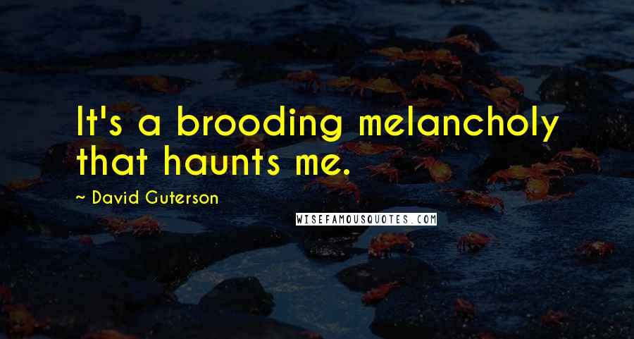 David Guterson Quotes: It's a brooding melancholy that haunts me.