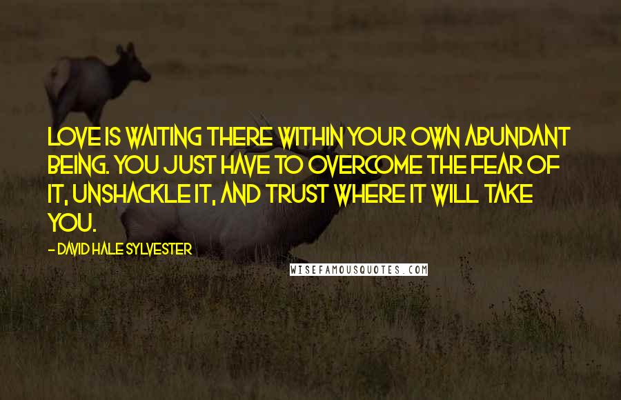 David Hale Sylvester Quotes: Love is waiting there within your own abundant being. You just have to overcome the fear of it, unshackle it, and trust where it will take you.