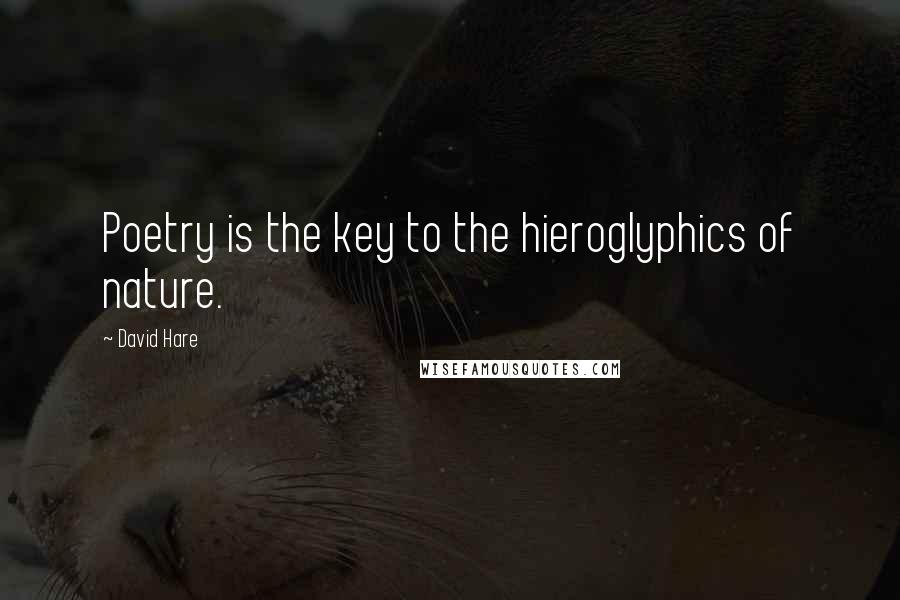 David Hare Quotes: Poetry is the key to the hieroglyphics of nature.