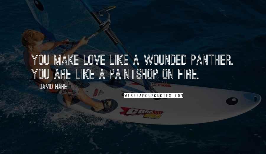 David Hare Quotes: You make love like a wounded panther. You are like a paintshop on fire.