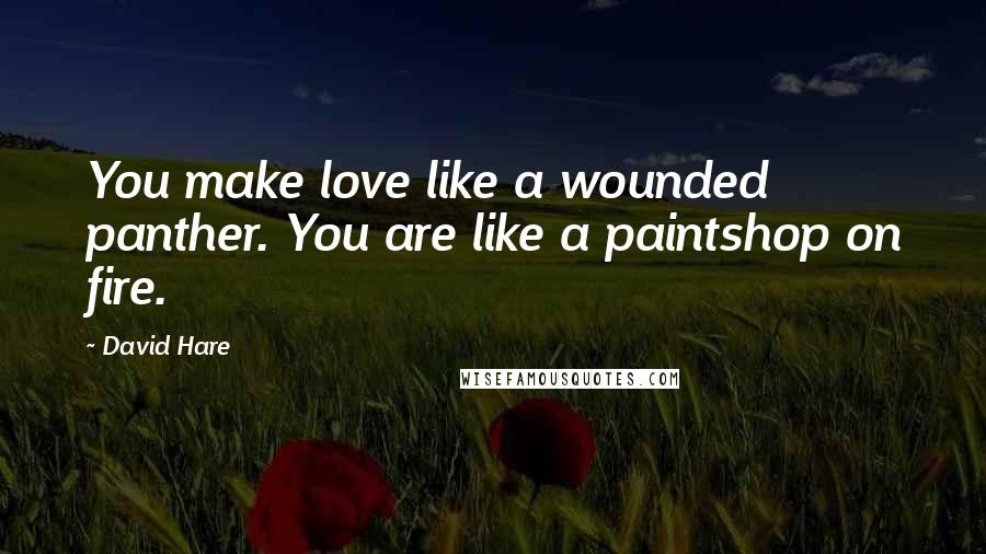 David Hare Quotes: You make love like a wounded panther. You are like a paintshop on fire.