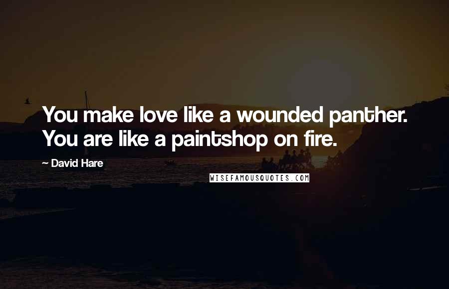 David Hare Quotes: You make love like a wounded panther. You are like a paintshop on fire.