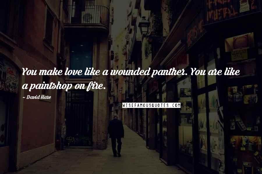 David Hare Quotes: You make love like a wounded panther. You are like a paintshop on fire.