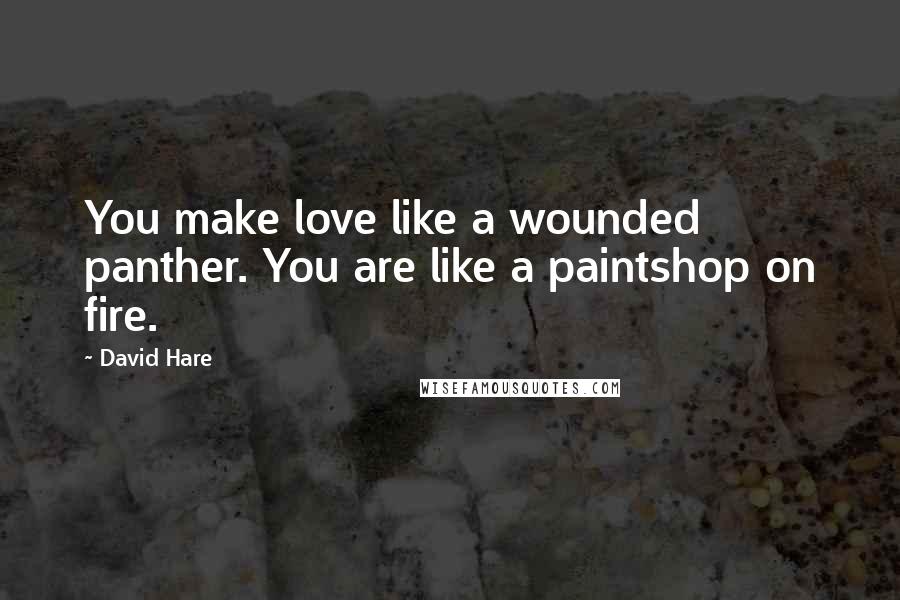 David Hare Quotes: You make love like a wounded panther. You are like a paintshop on fire.