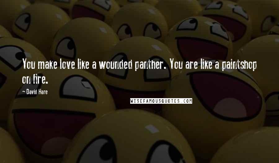 David Hare Quotes: You make love like a wounded panther. You are like a paintshop on fire.