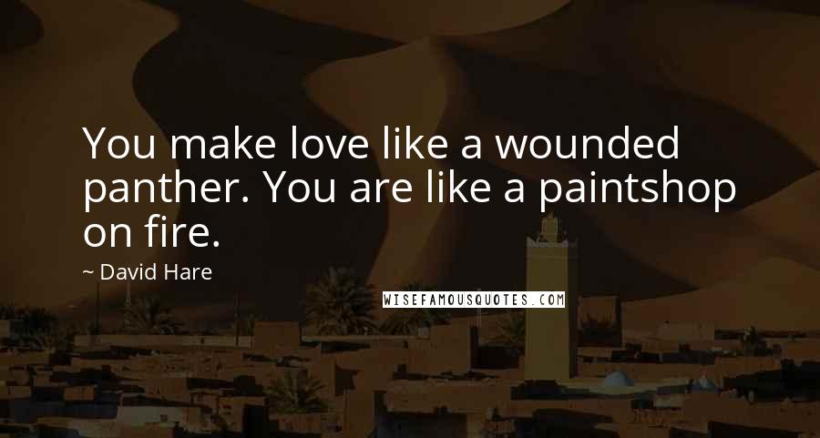 David Hare Quotes: You make love like a wounded panther. You are like a paintshop on fire.