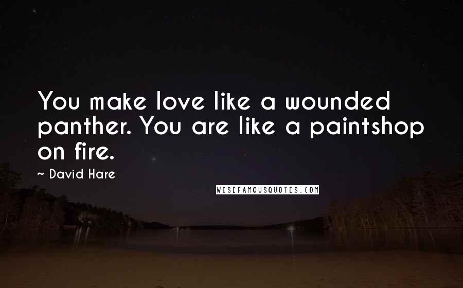 David Hare Quotes: You make love like a wounded panther. You are like a paintshop on fire.