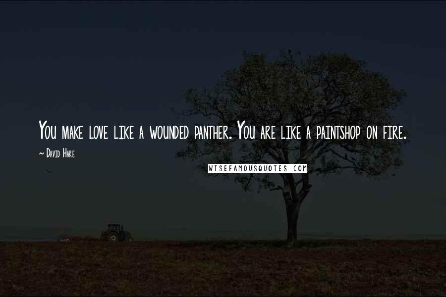 David Hare Quotes: You make love like a wounded panther. You are like a paintshop on fire.