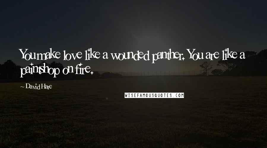 David Hare Quotes: You make love like a wounded panther. You are like a paintshop on fire.