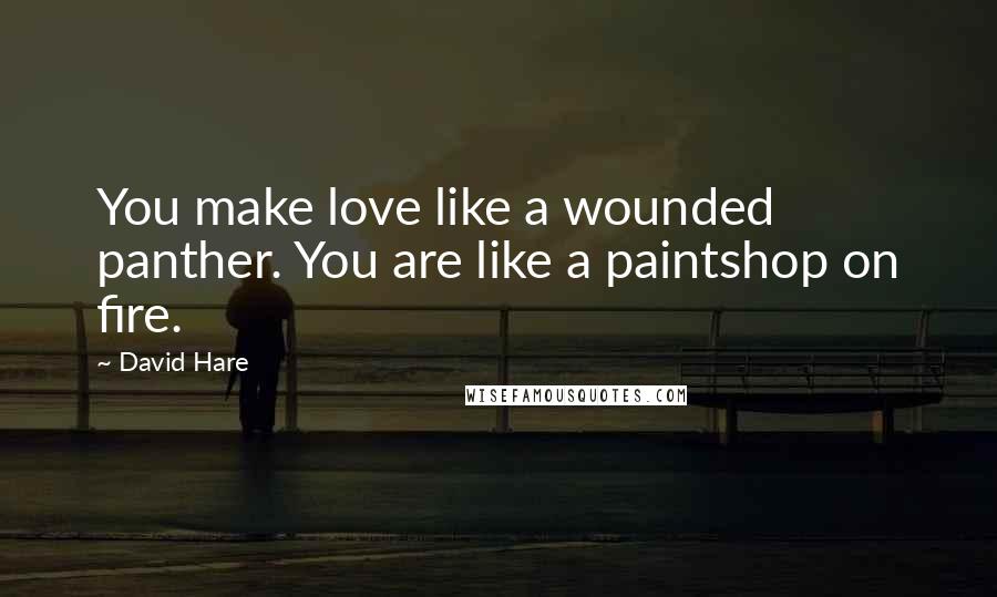 David Hare Quotes: You make love like a wounded panther. You are like a paintshop on fire.