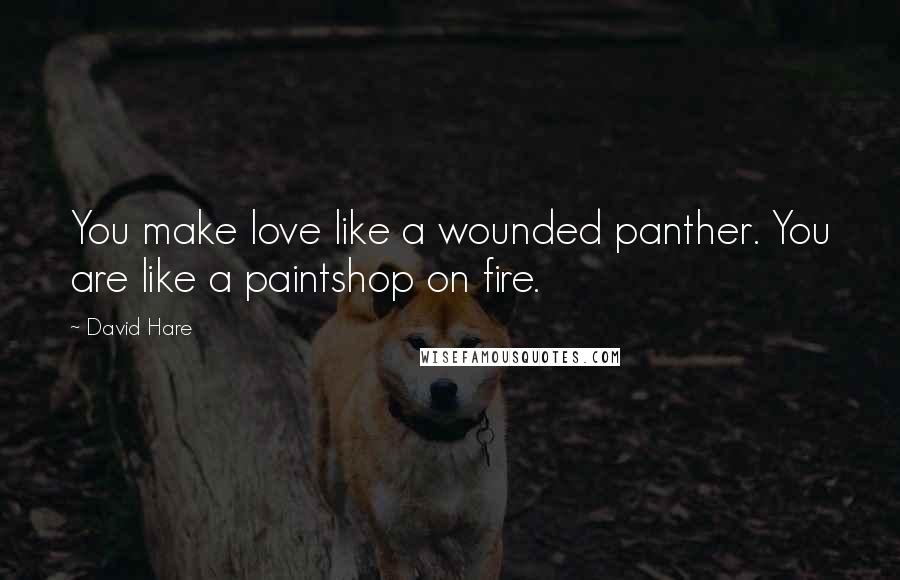 David Hare Quotes: You make love like a wounded panther. You are like a paintshop on fire.
