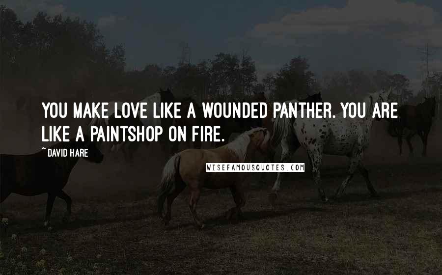 David Hare Quotes: You make love like a wounded panther. You are like a paintshop on fire.