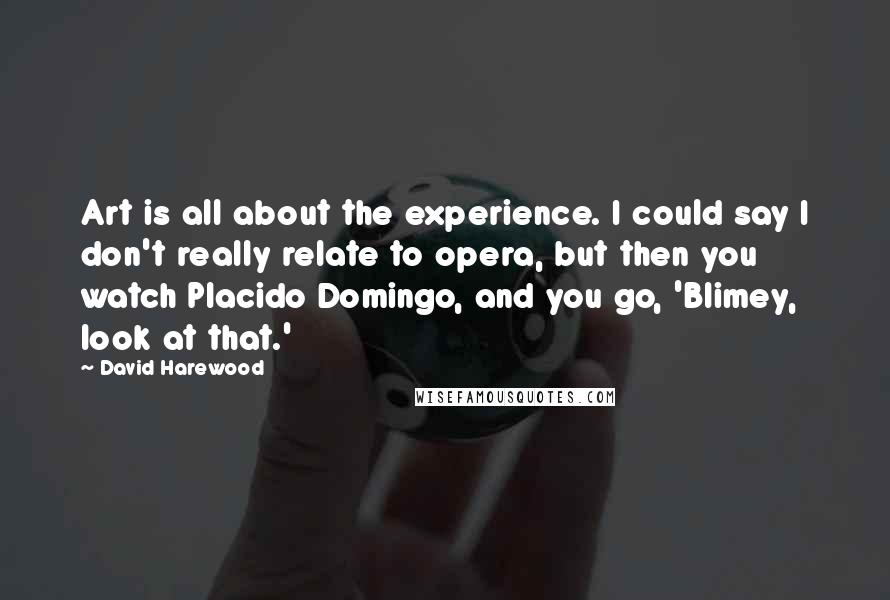 David Harewood Quotes: Art is all about the experience. I could say I don't really relate to opera, but then you watch Placido Domingo, and you go, 'Blimey, look at that.'