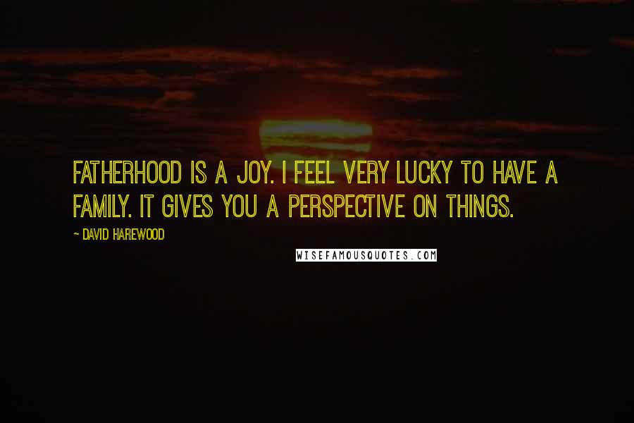 David Harewood Quotes: Fatherhood is a joy. I feel very lucky to have a family. It gives you a perspective on things.