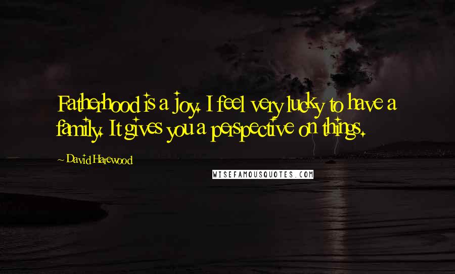 David Harewood Quotes: Fatherhood is a joy. I feel very lucky to have a family. It gives you a perspective on things.