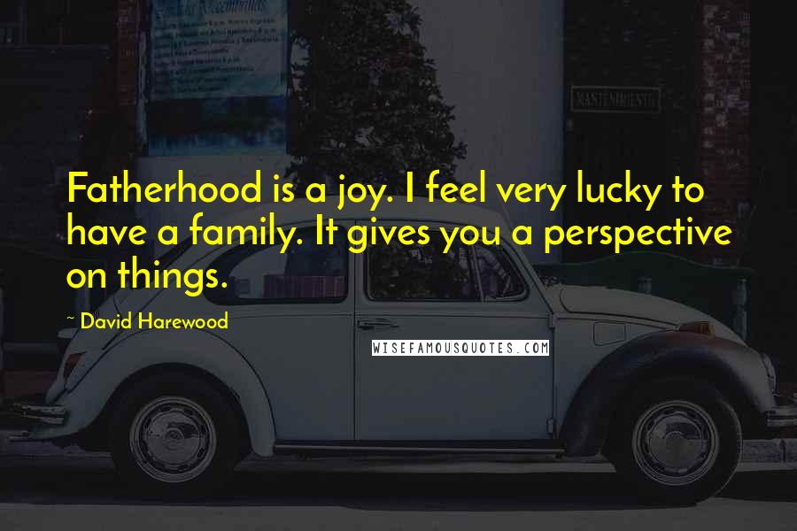 David Harewood Quotes: Fatherhood is a joy. I feel very lucky to have a family. It gives you a perspective on things.