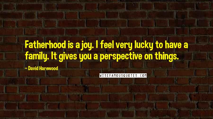 David Harewood Quotes: Fatherhood is a joy. I feel very lucky to have a family. It gives you a perspective on things.