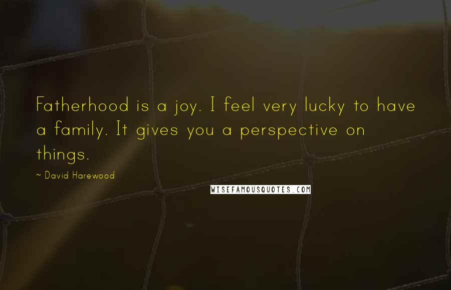 David Harewood Quotes: Fatherhood is a joy. I feel very lucky to have a family. It gives you a perspective on things.