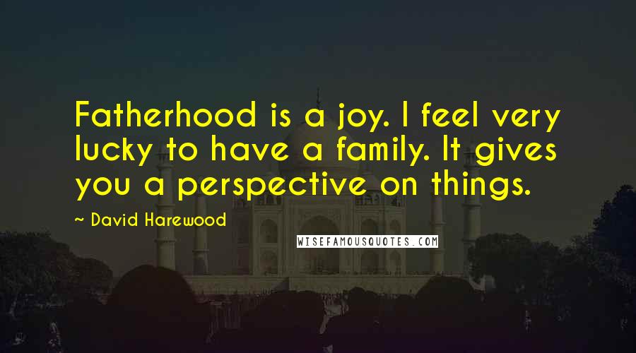 David Harewood Quotes: Fatherhood is a joy. I feel very lucky to have a family. It gives you a perspective on things.