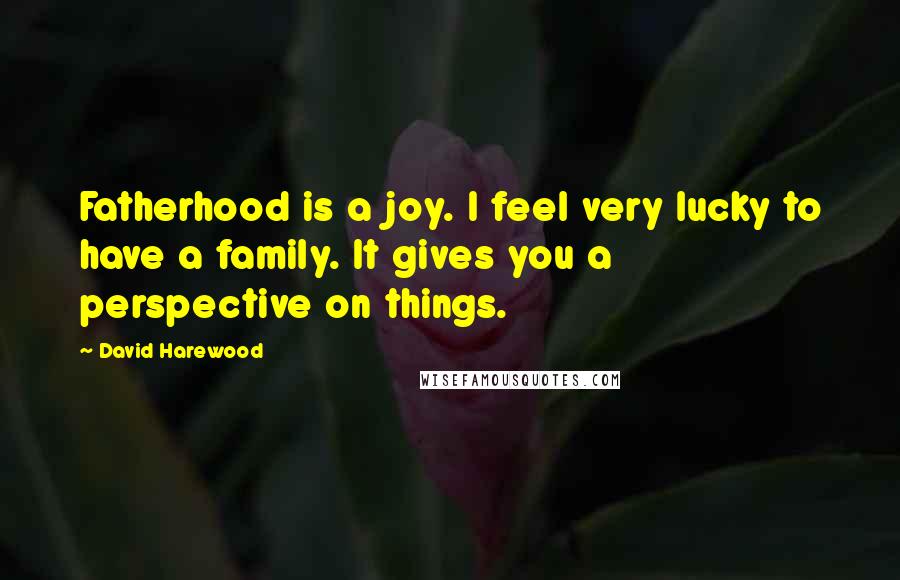 David Harewood Quotes: Fatherhood is a joy. I feel very lucky to have a family. It gives you a perspective on things.