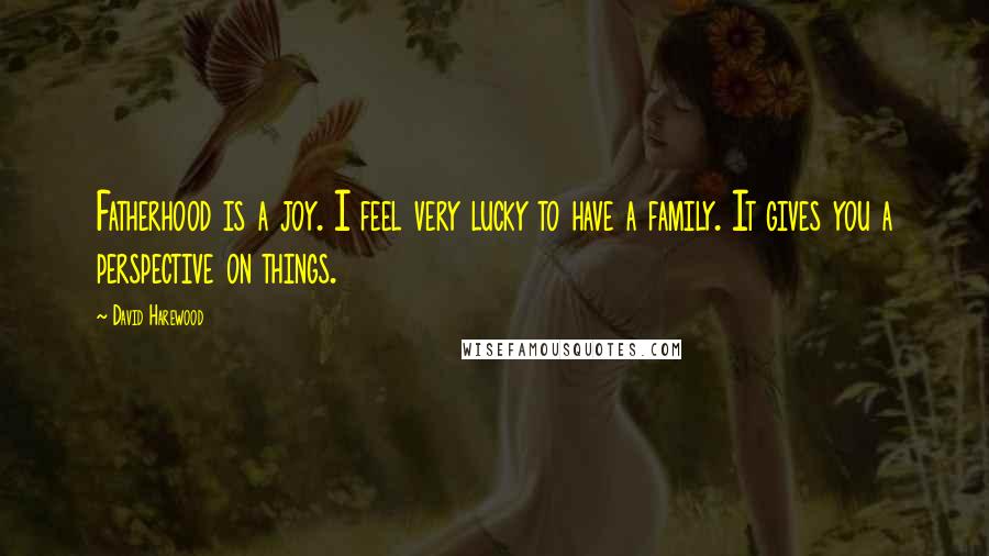 David Harewood Quotes: Fatherhood is a joy. I feel very lucky to have a family. It gives you a perspective on things.