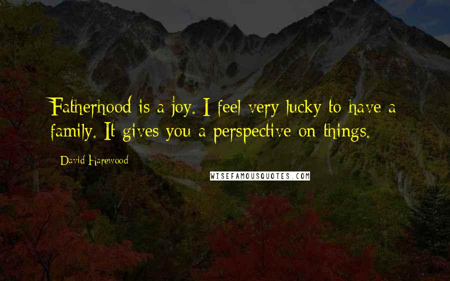 David Harewood Quotes: Fatherhood is a joy. I feel very lucky to have a family. It gives you a perspective on things.