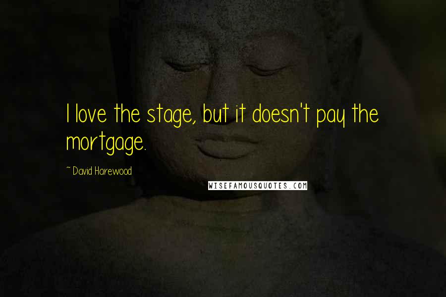David Harewood Quotes: I love the stage, but it doesn't pay the mortgage.