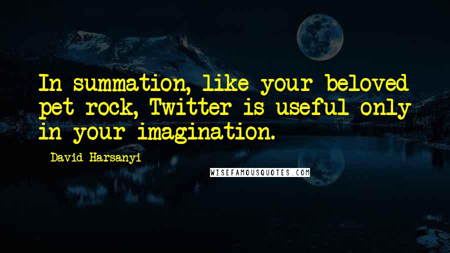 David Harsanyi Quotes: In summation, like your beloved pet rock, Twitter is useful only in your imagination.