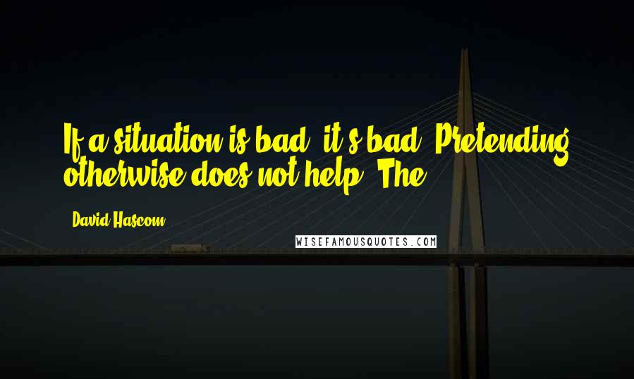 David Hascom Quotes: If a situation is bad, it's bad. Pretending otherwise does not help. The