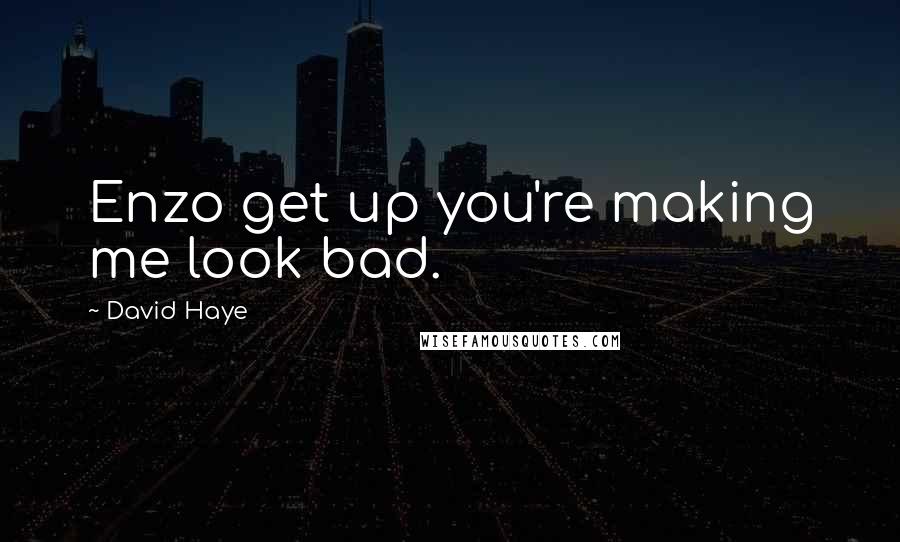 David Haye Quotes: Enzo get up you're making me look bad.