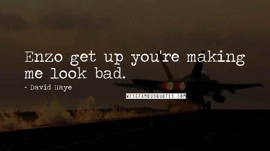 David Haye Quotes: Enzo get up you're making me look bad.