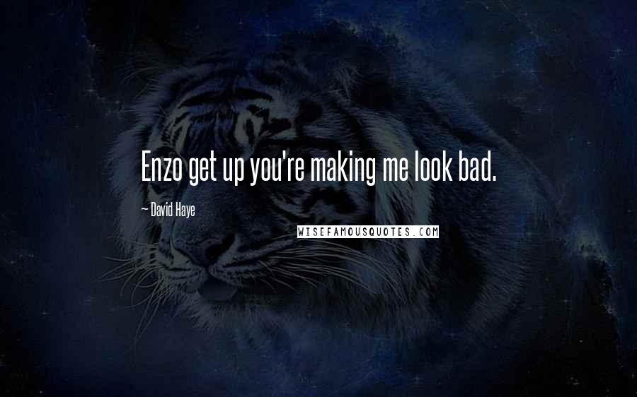 David Haye Quotes: Enzo get up you're making me look bad.