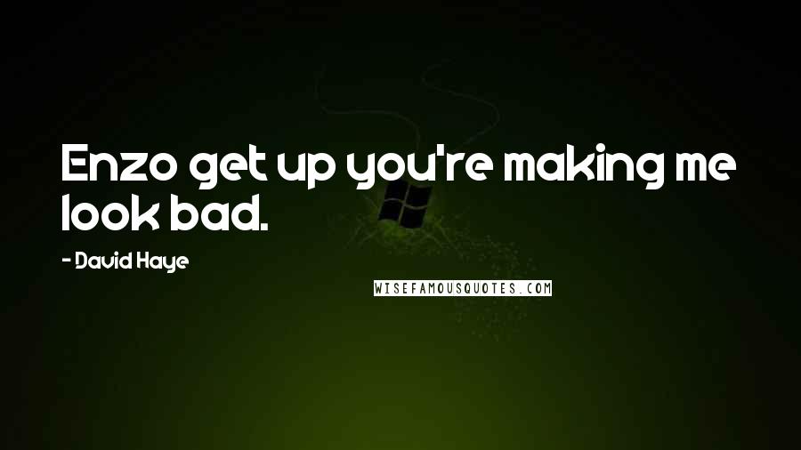 David Haye Quotes: Enzo get up you're making me look bad.
