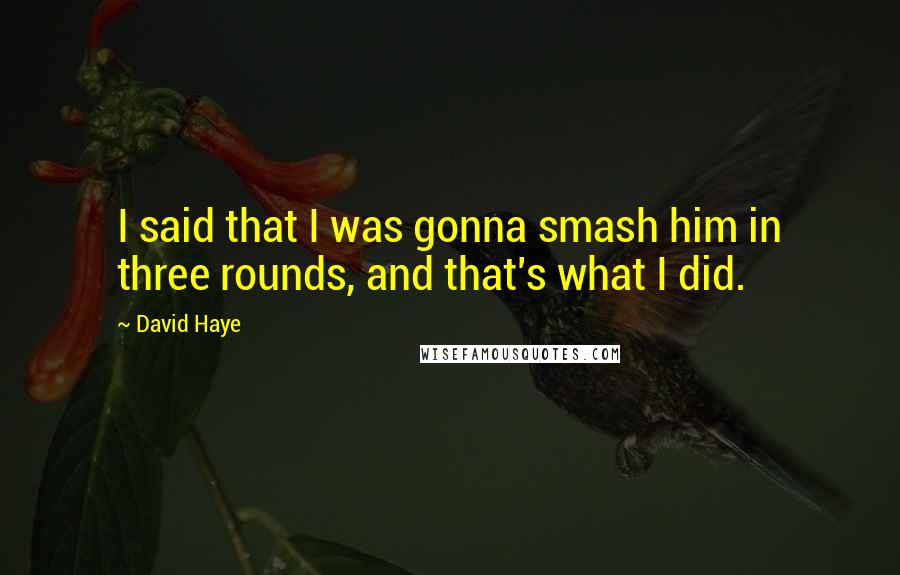 David Haye Quotes: I said that I was gonna smash him in three rounds, and that's what I did.