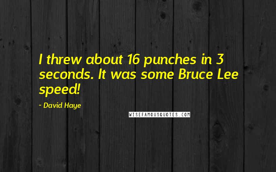 David Haye Quotes: I threw about 16 punches in 3 seconds. It was some Bruce Lee speed!