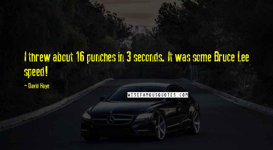 David Haye Quotes: I threw about 16 punches in 3 seconds. It was some Bruce Lee speed!