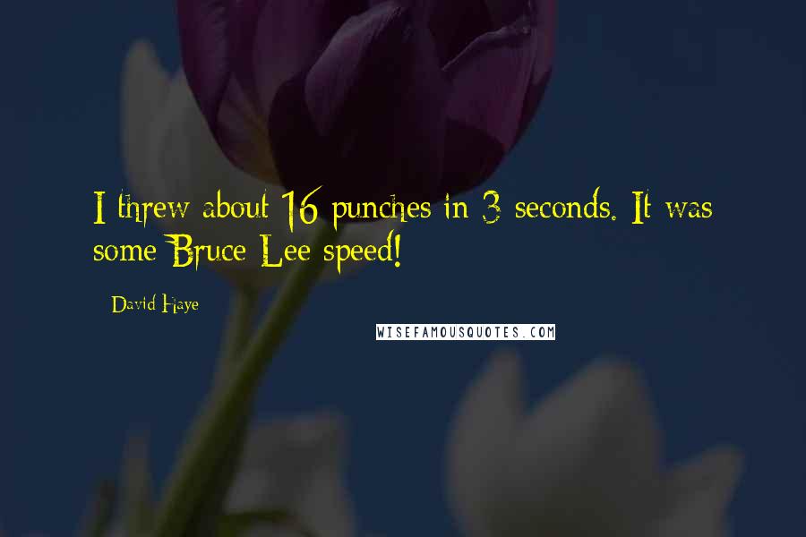 David Haye Quotes: I threw about 16 punches in 3 seconds. It was some Bruce Lee speed!