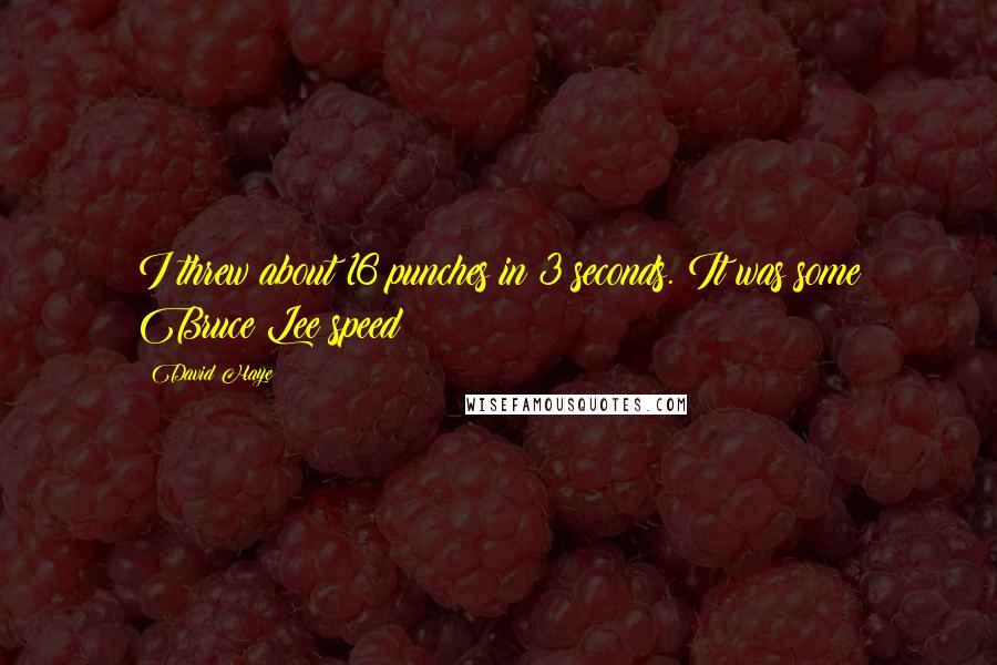 David Haye Quotes: I threw about 16 punches in 3 seconds. It was some Bruce Lee speed!