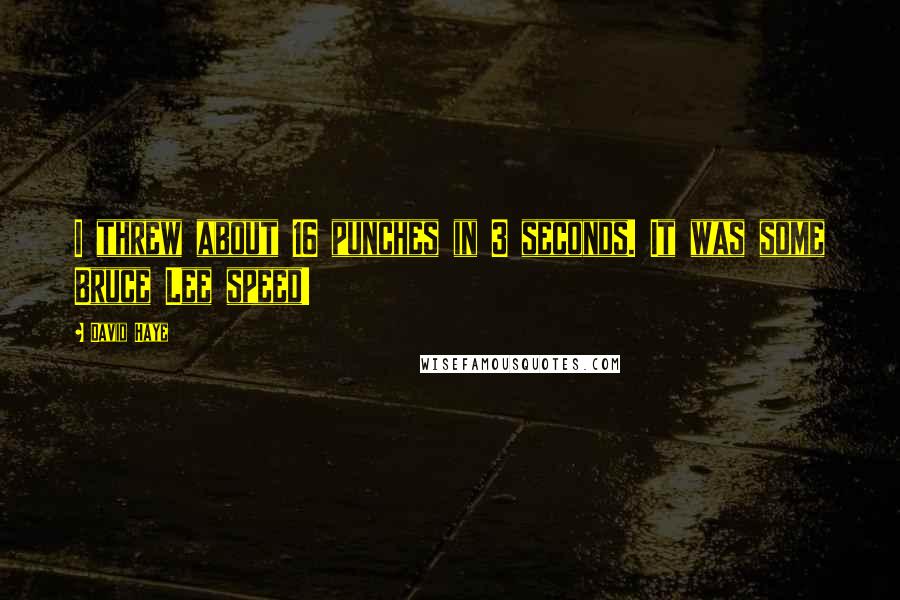 David Haye Quotes: I threw about 16 punches in 3 seconds. It was some Bruce Lee speed!