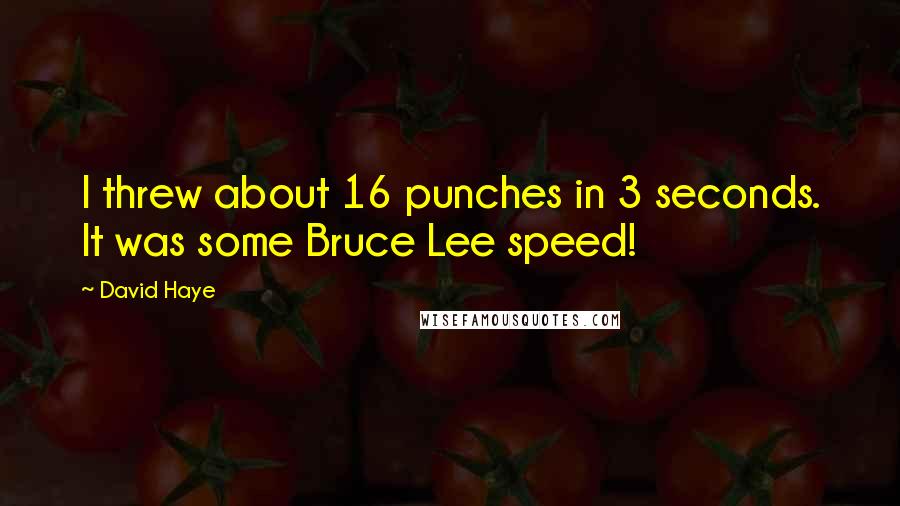 David Haye Quotes: I threw about 16 punches in 3 seconds. It was some Bruce Lee speed!