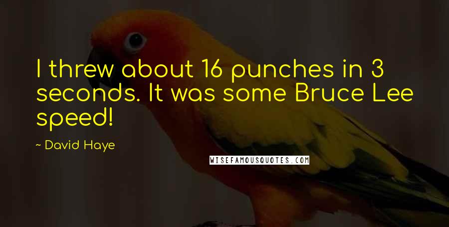 David Haye Quotes: I threw about 16 punches in 3 seconds. It was some Bruce Lee speed!