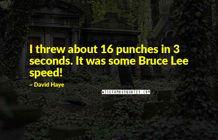 David Haye Quotes: I threw about 16 punches in 3 seconds. It was some Bruce Lee speed!