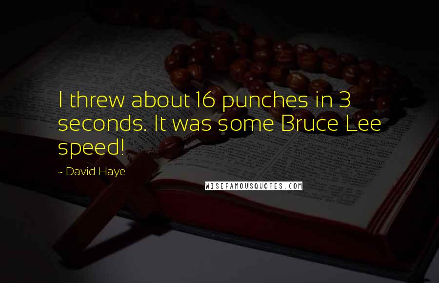 David Haye Quotes: I threw about 16 punches in 3 seconds. It was some Bruce Lee speed!